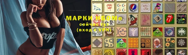 прущий лед Алзамай