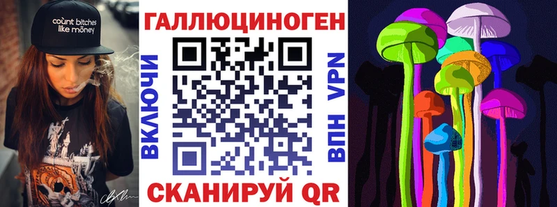 купить наркоту  Канаш  Галлюциногенные грибы MAGIC MUSHROOMS 