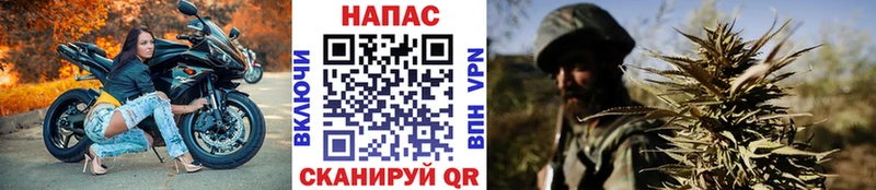 Бошки Шишки ГИДРОПОН  KRAKEN как зайти  Канаш 